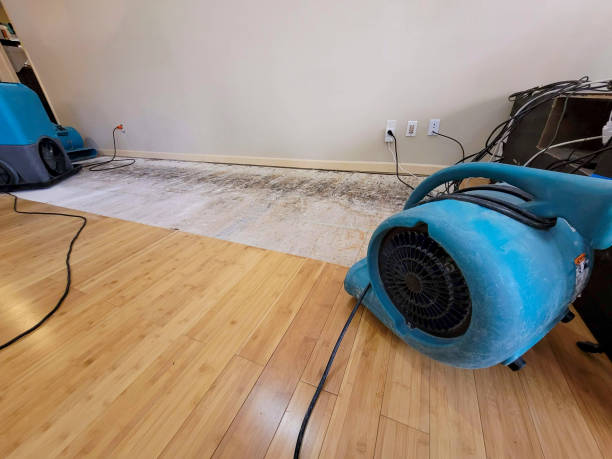 Reliable Crawl Space Water Removal contractor in Burnsville, NC by Hirex Water Damage