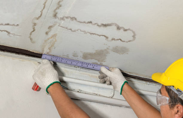 Affordable Water Damage Repair solutions in Burnsville, NC
